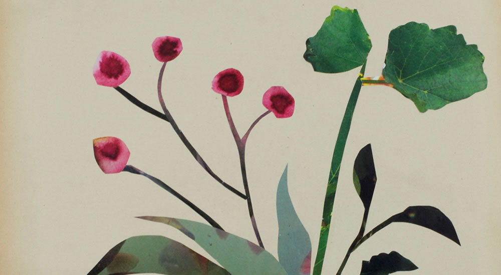 Anke Roder - ‘Orchidee’, 2015