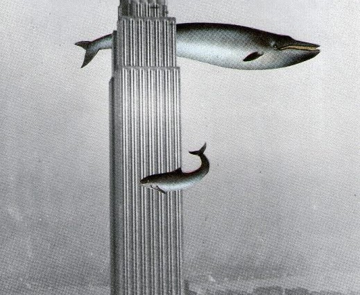 Antonia Rehnen - 'Schau mal nach oben, wenn du in New York bist' small