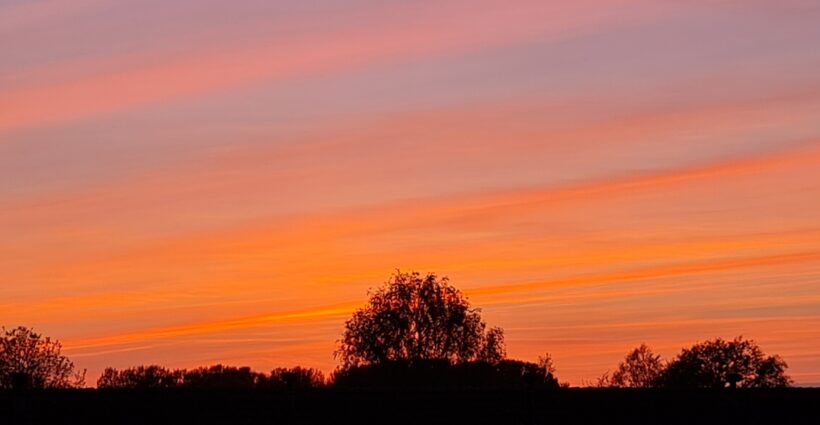 Avondrood