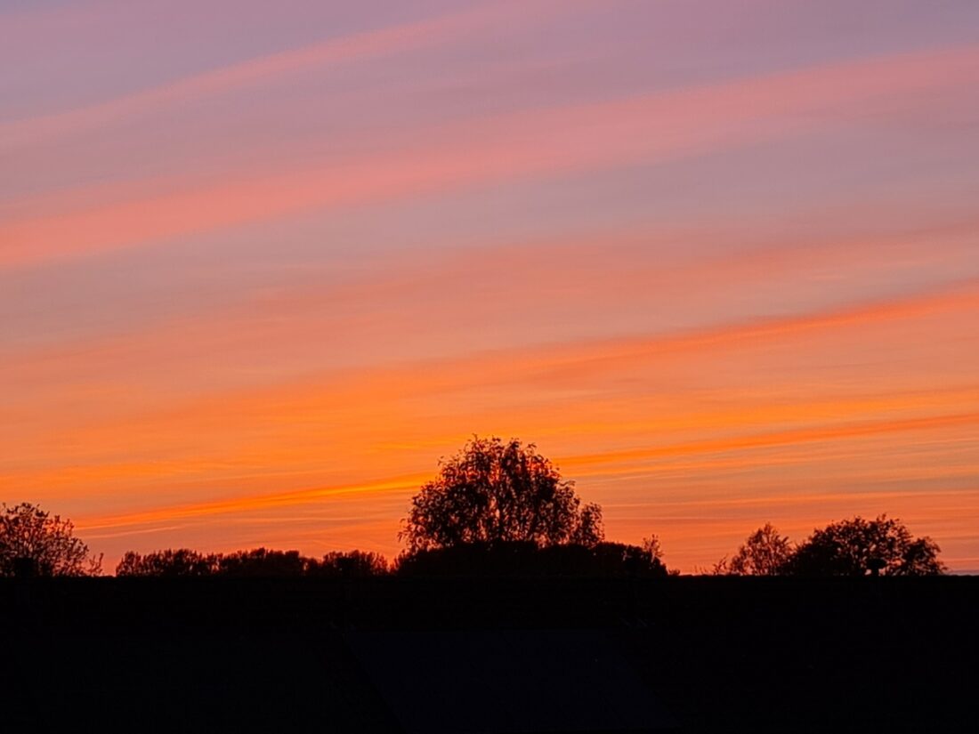 Avondrood