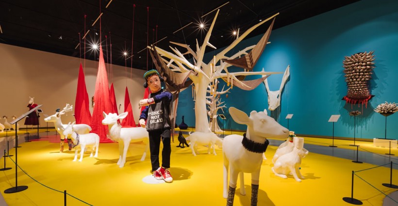Gebreide zoon in tentoonstelling - foto: Ruben van Vliet
