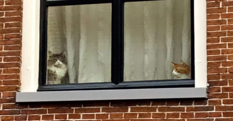 Gedempte Keizersgracht