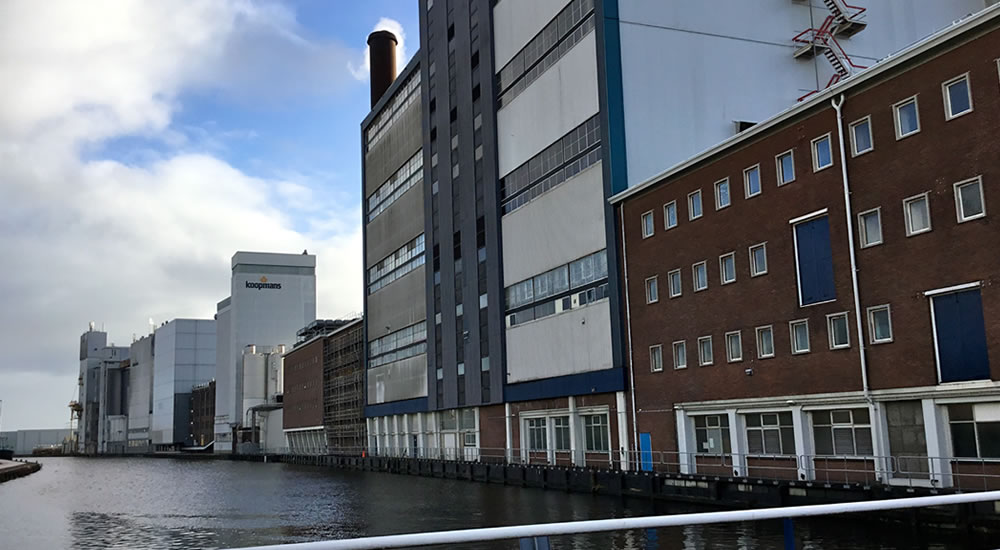 Koopmans - FrieslandCampina