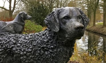 Rengerspark - Leeuwarden - Hond