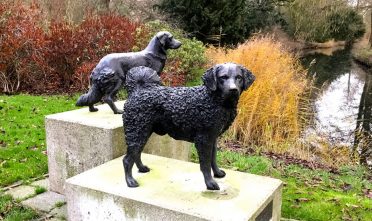 Leeuwarden - Rengerspark - Honden- standbeeld