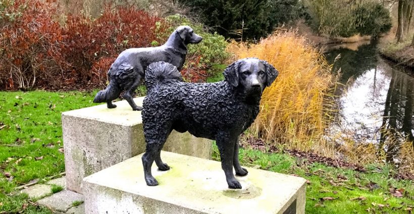 Leeuwarden - Rengerspark - Honden- standbeeld