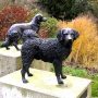 Leeuwarden - Rengerspark - Honden- standbeeld