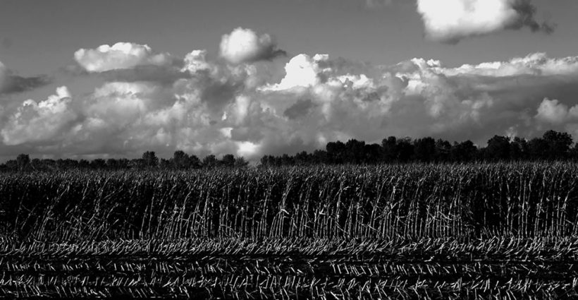 Landschap in zwart/wit