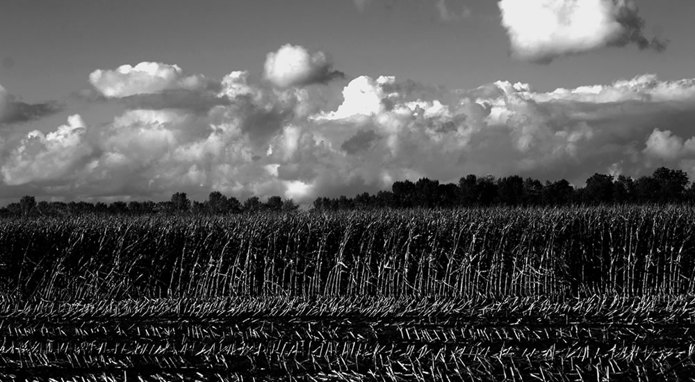 Landschap in zwart/wit