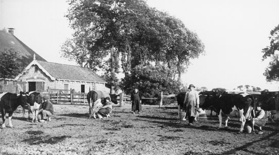 Melken-op-een-boerderij-bij-Weidum-Tresoar2