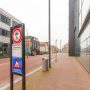 Neushoorn Leeuwarden