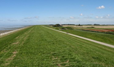 De Waddenzeedijk bij Zwarte Haan