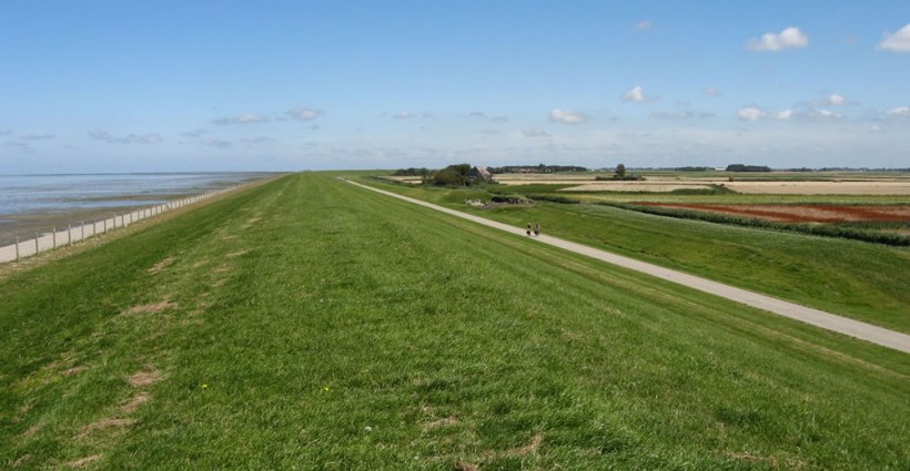 De Waddenzeedijk bij Zwarte Haan
