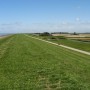 De Waddenzeedijk bij Zwarte Haan