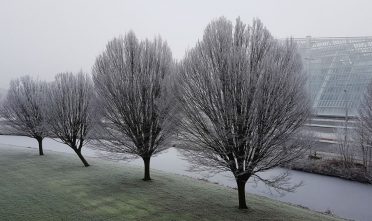 Crystalic - IJspaleis aan de rand van Leeuwarden - Foto: Keimp Pijpstra