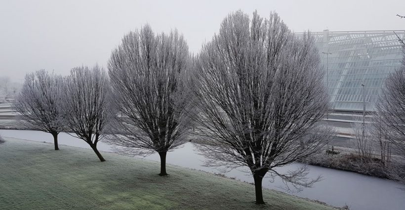 Crystalic - IJspaleis aan de rand van Leeuwarden - Foto: Keimp Pijpstra