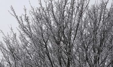 Winterweer - Foto Keimp Pijpstra