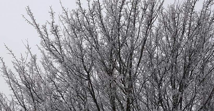 Winterweer - Foto Keimp Pijpstra