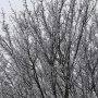 Winterweer - Foto Keimp Pijpstra