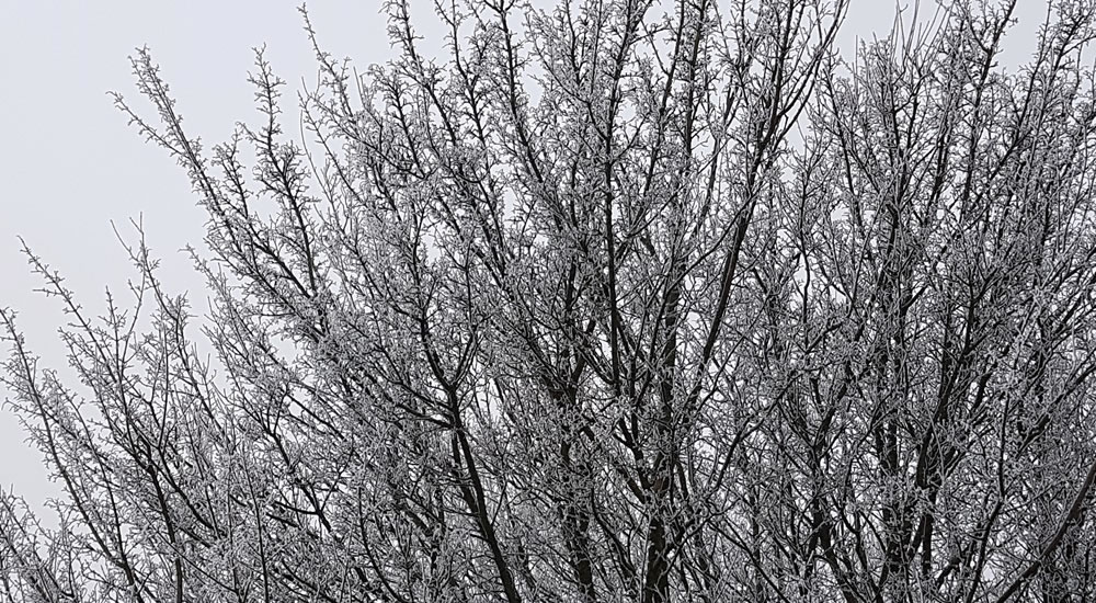 Winterweer - Foto Keimp Pijpstra