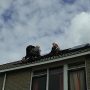 Zonnepanelen